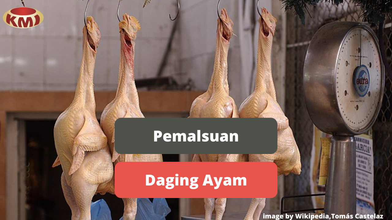 Contoh Kasus Pemalsuan Daging Ayam 